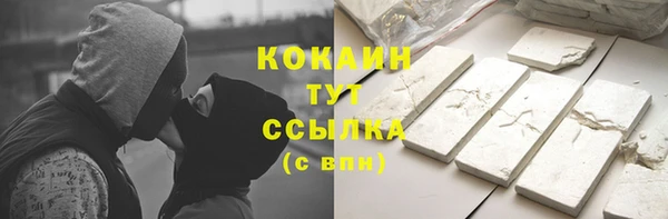 apvp Кукмор