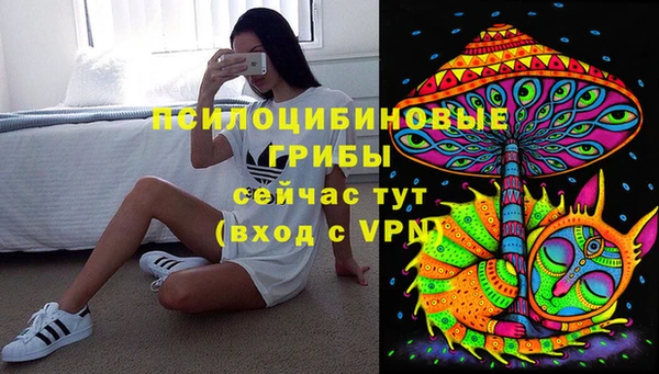 apvp Кукмор