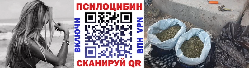Псилоцибиновые грибы мухоморы  Сухой Лог 