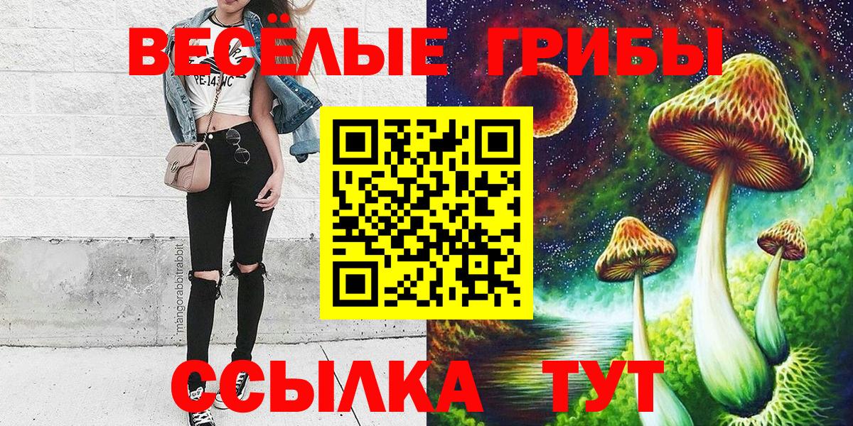 Псилоцибиновые грибы ЛСД  Вход с VPN  Галлюциногенные грибы мухоморы  Сухой Лог 
