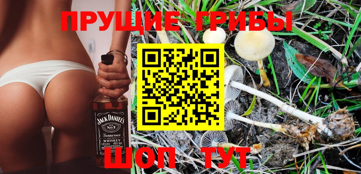 Псилоцибиновые грибы GOLDEN TEACHER Сухой Лог